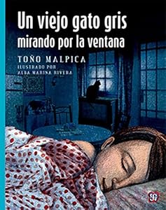 Un viejo gato gris mirando por la ventana