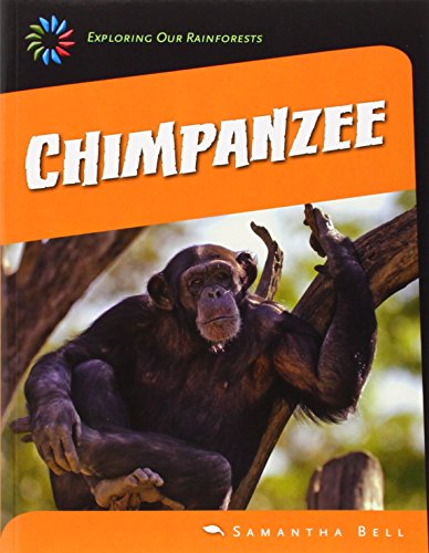 Chimpanzee by Samantha Bell