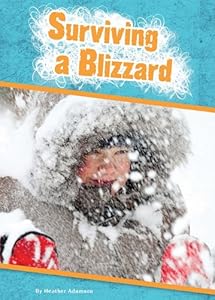 Surviving a Blizzard