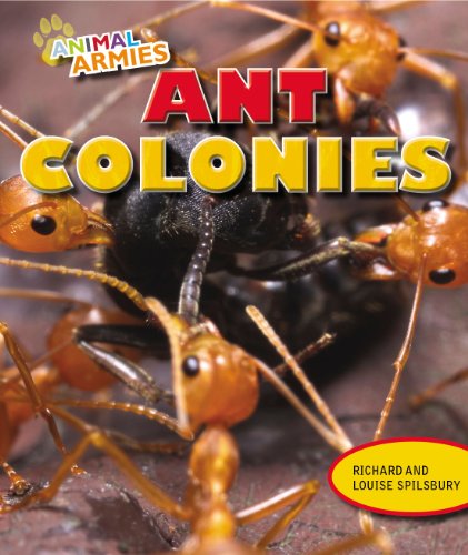 Ant Colonies (Animal Armies) by Richard Spilsbury