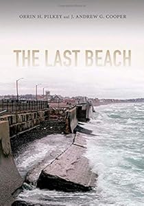 The Last Beach