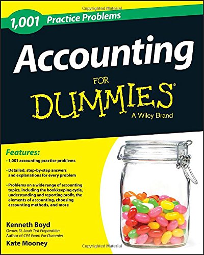 1,001 Accounting Practice Problems For Dummies by Kenneth Boyd