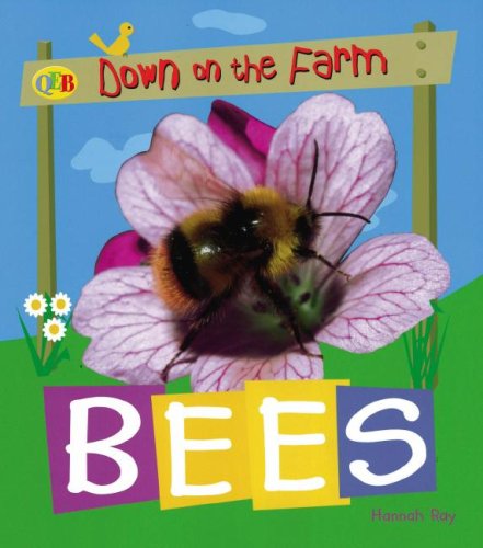 Bees (Qeb Down on the Farm) by Sally Morgan