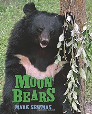 Moon Bears