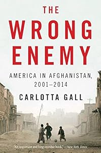 The Wrong Enemy: America in Afghanistan, 20012014 by Carlotta Gall