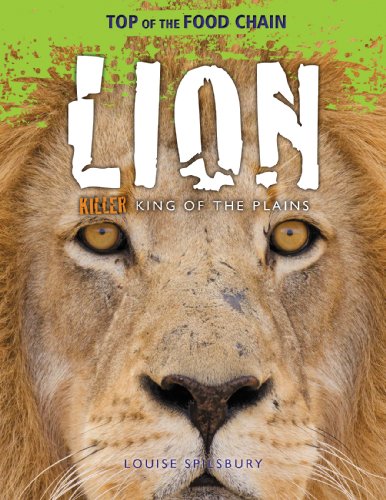 Lion: Killer King of the Plains by Louise Spilsbury