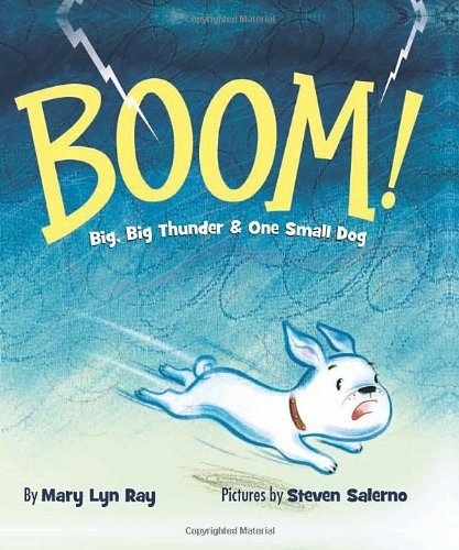 BOOM!: Big, Big Thunder &amp; One Small Dog by Mary Lyn Ray