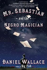 Mr. Sebastian and the Negro Magician: A Novel