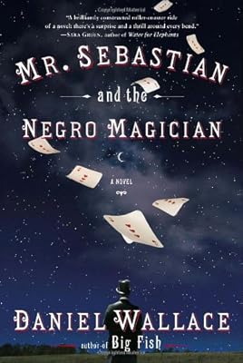 Mr. Sebastian and the Negro Magician: A Novel
