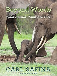 Beyond Words: What Animals Think and Feel