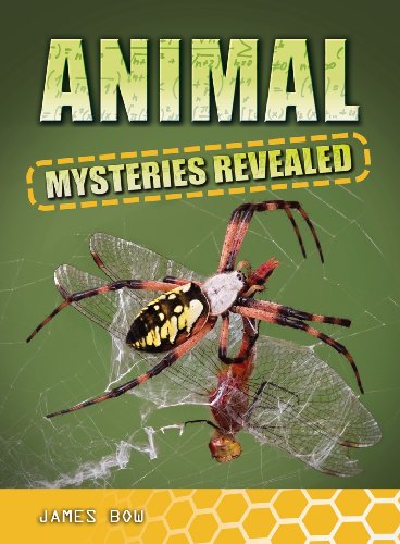 Animal Mysteries Revealed by James Bow