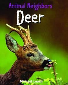 Deer by Michael Leach