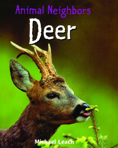 Deer by Michael Leach