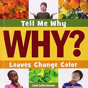 Leaves Change Color