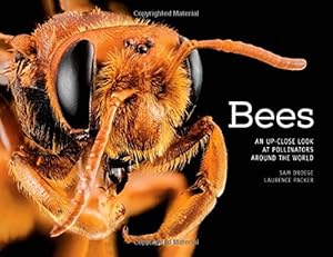 Bees: An Up-Close Look at Pollinators Around the World by Sam Droege
