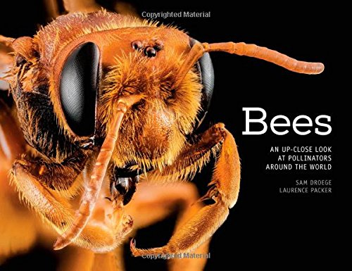 Bees: An Up-Close Look at Pollinators Around the World by Sam Droege