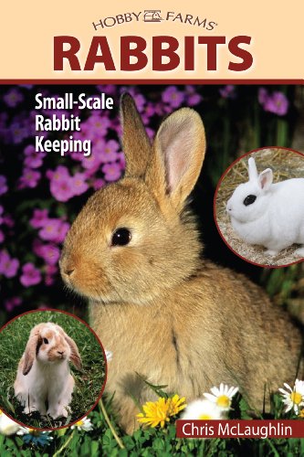 Hobby Farms: Rabbits: Small-Scale Rabbit Keeping by Chris McLaughlin