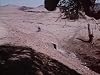The Deception [1984 V TV Episode]