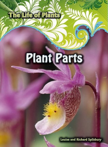 Plant Parts (Life of Plants) by Richard Spilsbury
