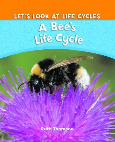 A Bee's Life Cycle by Ruth Thomson