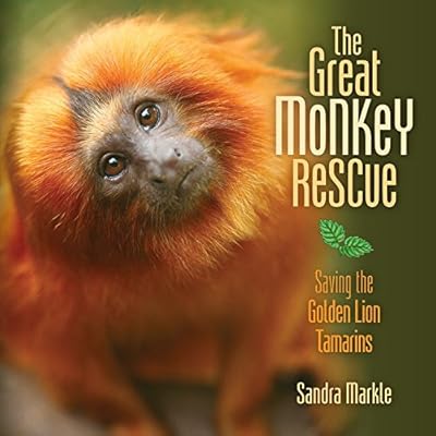 The Great Monkey Rescue: Saving the Golden Lion Tamarins