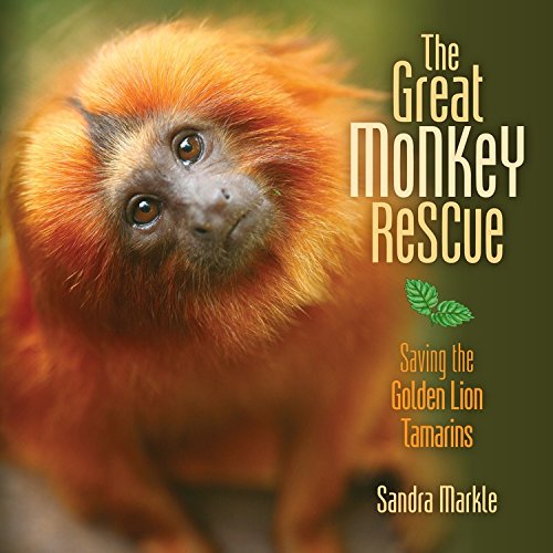 The Great Monkey Rescue: Saving the Golden Lion Tamarins by Sandra Markle