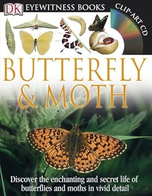 DK Eyewitness Books: Butterfly and Moth