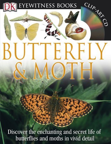 DK Eyewitness Books: Butterfly and Moth by DK Publishing