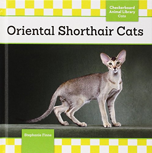 Oriental Shorthair Cats by Stephanie Finne