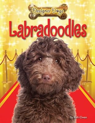 Labradoodles
