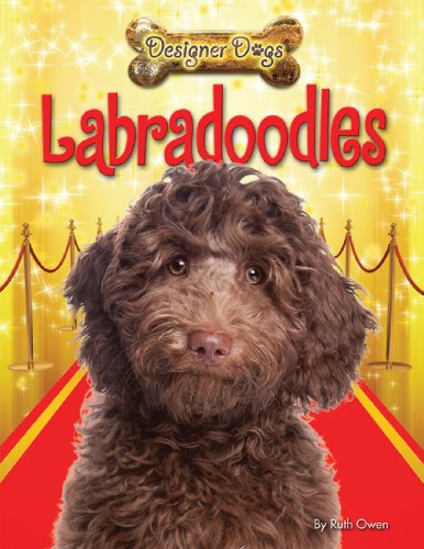 Labradoodles by Ruth Owen