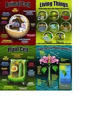Mcdonald Publishing MC-P077 Life Science Teaching Poster Set