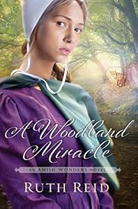 A Woodland Miracle (Amish Wonders Series Book 2)