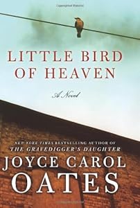 Little Bird of Heaven: A Novel