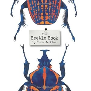 The Beetle Book