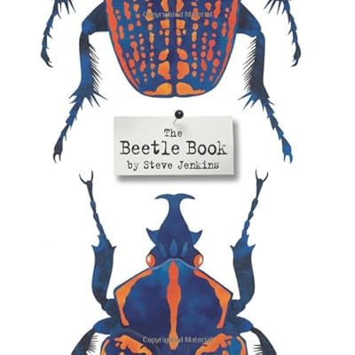 The Beetle Book
