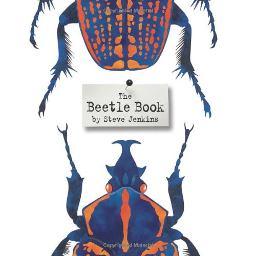 The Beetle Book by Steve Jenkins