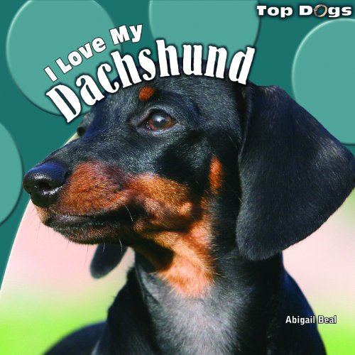 I Love My Dachshund by Abigail Beal