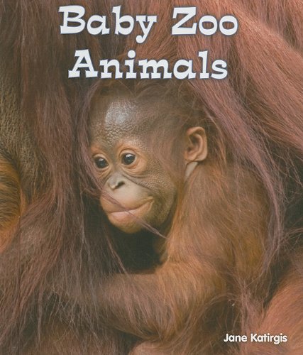 Baby Zoo Animals by Jane Katirgis
