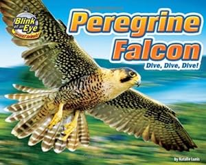Peregrine Falcon: Dive, Dive, Dive!