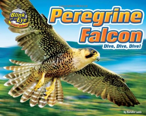 Peregrine Falcon: Dive, Dive, Dive! by Natalie Lunis