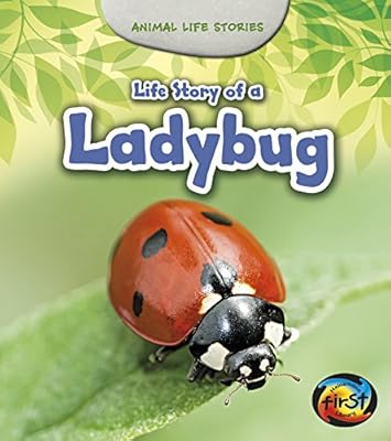 Life Story of a Ladybug