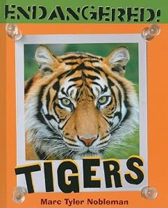 Tigers (Endangered!)