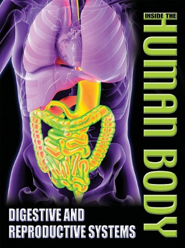 Digestive and Reproductive Systems by Steve Parker