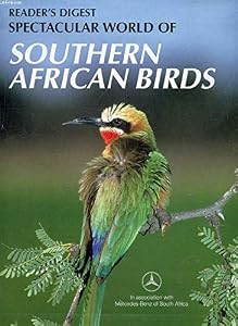 Spectacular world of southern African birds