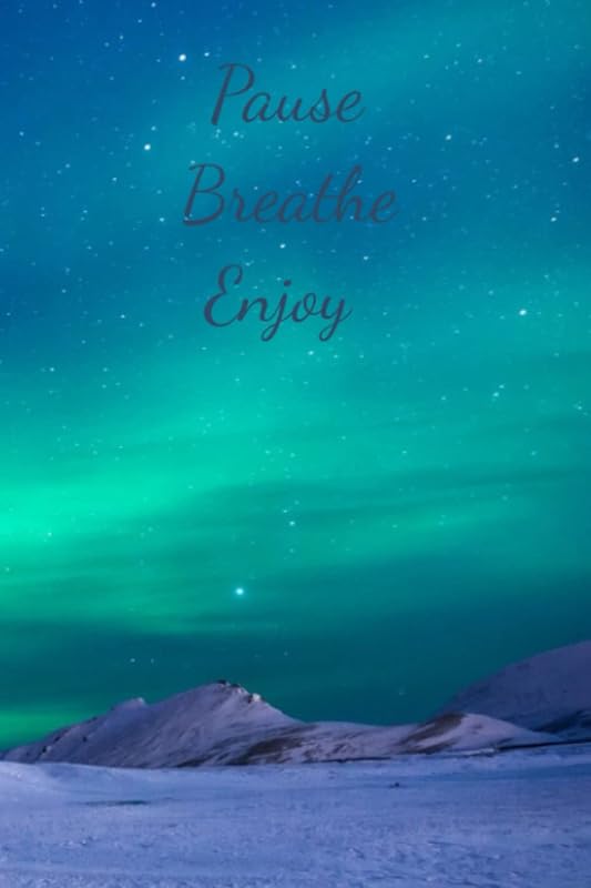 Pause Breathe Enjoy: A Gratitude Journal by Christine Chamillard