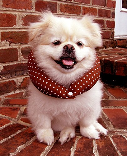 Algopix Similar Product 10 - Puppy Bumper  Keep Your Dog on the