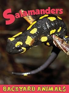 Salamanders (Backyard Animals)