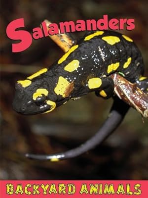 Salamanders (Backyard Animals)