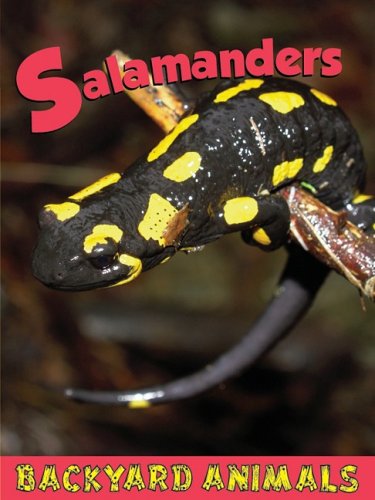Salamanders (Backyard Animals) by Nick Winnick